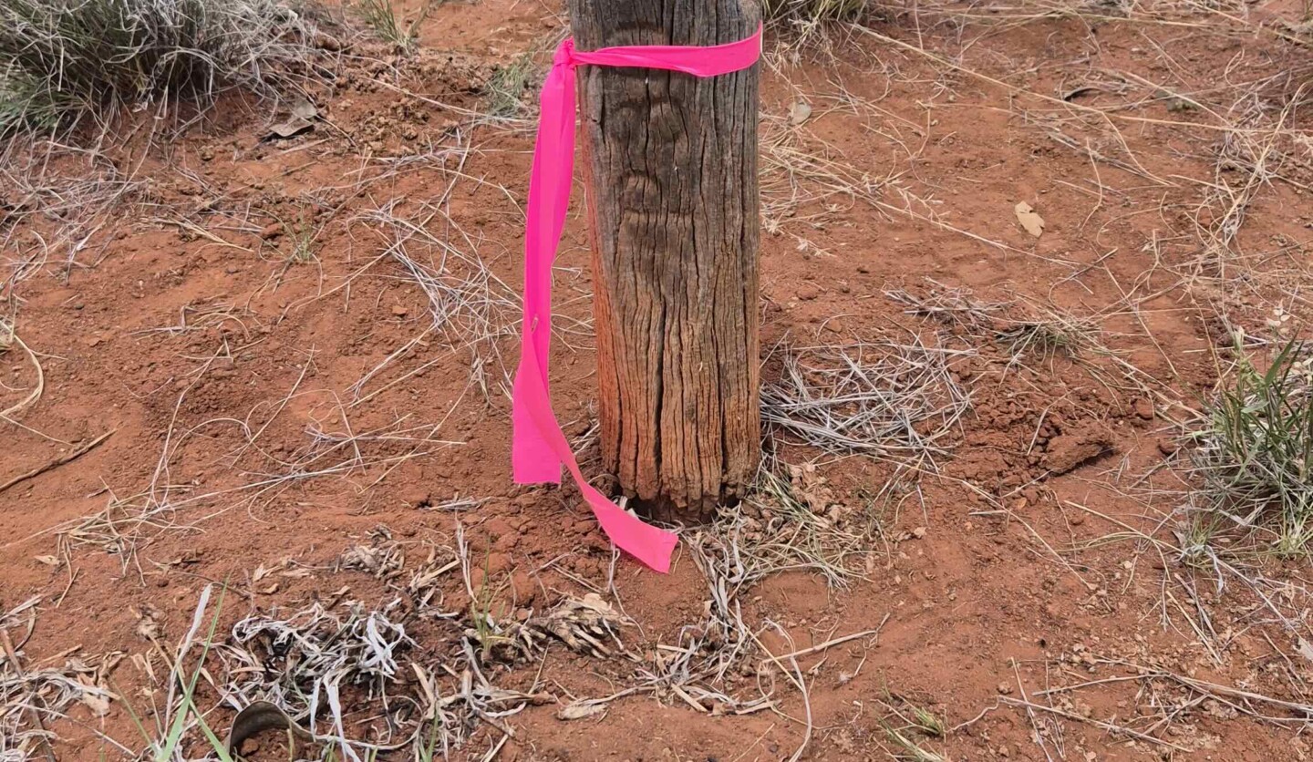 Preserving Australia’s Geodetic Legacy